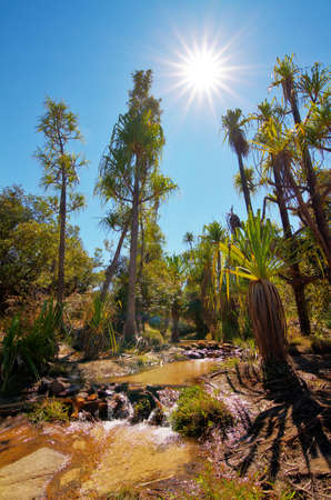 Beautiful oasis  La Piscine Naturelle  in Isalo national park in Madagascar  HDRの写真素材