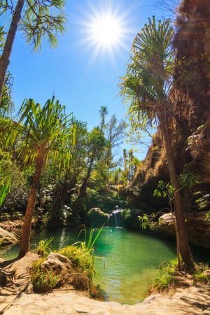 Beautiful oasis  La Piscine Naturelle  in Isalo national park in Madagascar  の写真素材