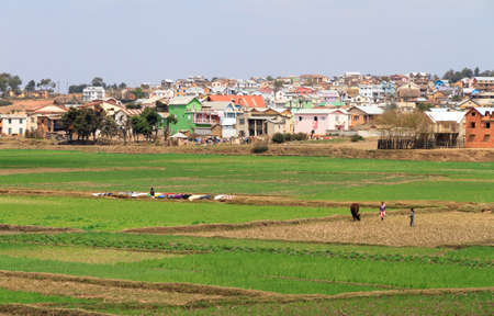 Typical view of a small town in Madagascar with rice fieldsの写真素材