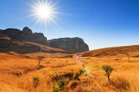 Beautiful view of one of the many different landscapes of Madagascarの写真素材