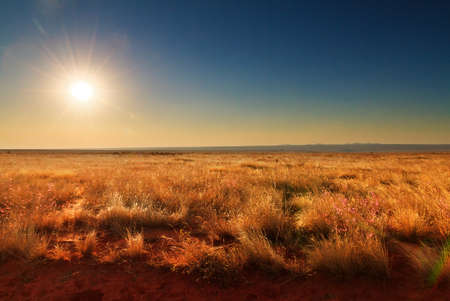 Sunset at one of the many unique landscapes in Madagascarの写真素材