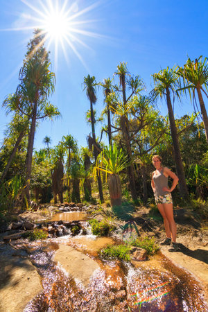 Beautiful oasis La Piscine Naturelle in Isalo national park in Madagascarの写真素材