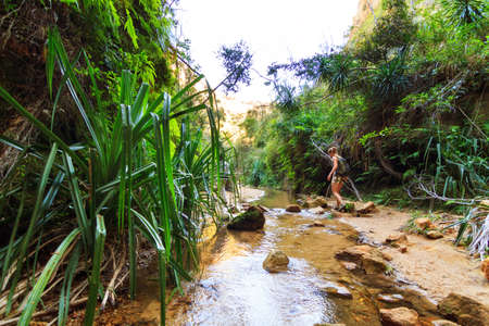 Hiking in the beautiful canyons of Isalo national park, Madagascarの写真素材