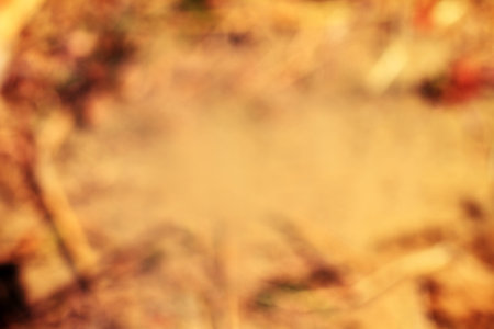 Beautiful autumn background with warm colors and a vintage look