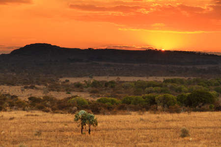 Beautiful sunset in Isalo national park in Madagascarの写真素材