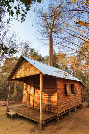 Cabin in the dry forest of Kirindy Mitea National Park, in Madagascarのeditorial素材