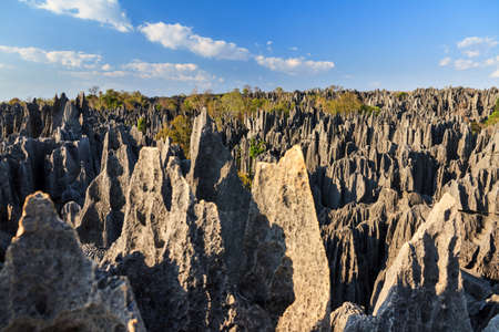 Beautiful view on the unique geography at the Tsingy de Bemaraha Strict Nature Reserve in Madagascarの写真素材