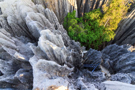 Downward view on the unique limestone landscape at the Tsingy de Bemaraha Strict Nature Reserve in Madagascarの写真素材