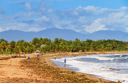 The coastline of Maroantsetra in Madagascar, with palm trees and hills in the backgroundのeditorial素材