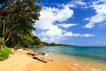 Beautiful view of the coast of Masoala National Park in Madagascarの写真素材