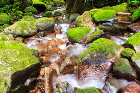 Beautiful view of a stream in the rainforest jungle of the Masoala National Park in Madagascarの写真素材