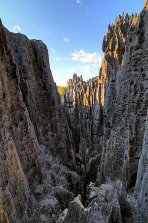 Beautiful HDR view on the unique geography at the Tsingy de Bemaraha Strict Nature Reserve in Madagascarの写真素材