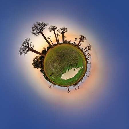 Beautiful little planet at the avenue of the baobabs in Madagascarの写真素材