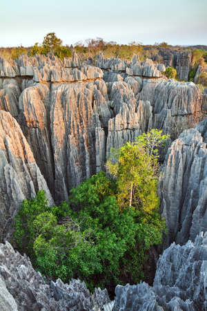 Beautiful view on the unique geography at the Tsingy de Bemaraha Strict Nature Reserve in Madagascarの写真素材