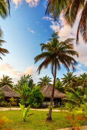 Beautiful summer view on a resort with palm trees sunshine and a blue sky with clouds in Madagascarの写真素材
