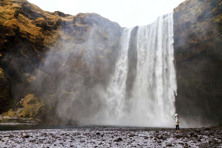 Beautiful female tourist dwarfed in front of the mighty Skogafoss waterfall in Icelandの写真素材