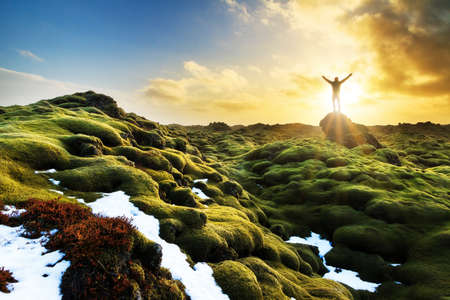 Beautiful tourist posing in the amazing volcanic mossy landscape of Eldhraun at sunrise in Icelandの写真素材