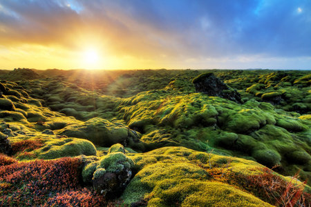 Beautiful panorama of the amazing volcanic mossy landscape of Eldhraun at sunrise in Iceland
