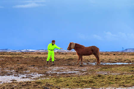 Good looking young man and and Icelandic horse in the landscape of Iceland in winterの写真素材