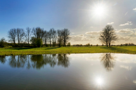 Beautiful reflection of the landscape and afternoon sun at national park de Blauwe Kamer in...