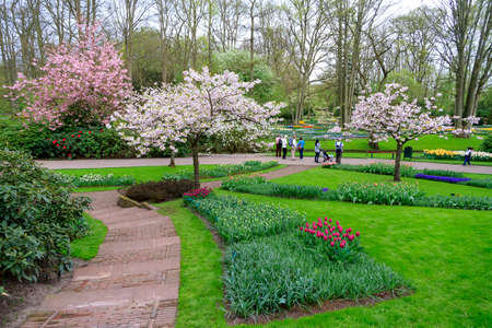 Tourists visit the popular Keukenhof gardens with beautiful tulips, hyacinths and other flowers in spring in Lisse, the Netherlands, on april 7, 2014のeditorial素材