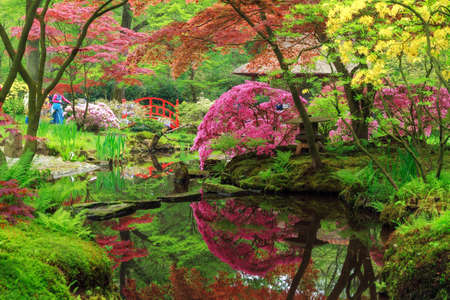 Beautiful Japanese garden in parkland Clingendael in Wassenaar, The Netherlandsの写真素材