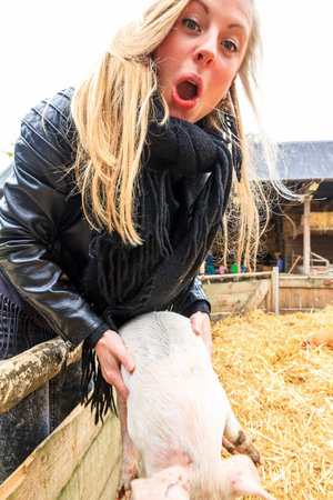 Young very blond girl having fun with the piglets in the petting zoo in springの写真素材