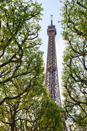 Beautiful view of green spring leafs with the Eiffel tower in the background in Parisの写真素材