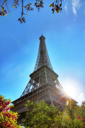 Beautiful green spring leafs at the Eiffel tower in Paris, Franceの写真素材