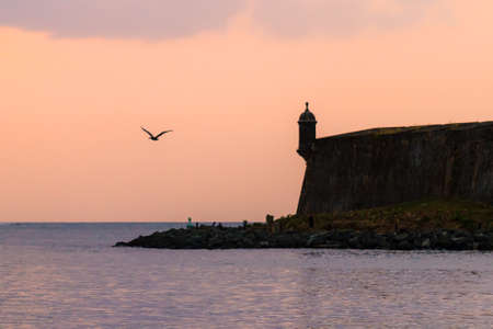 Pelican at sunset with in the background fort San Felipe Del Morro in San Juan, Puerto Ricoのeditorial素材