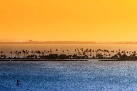 Silhouette of tropical palm trees under a yellow sunset and a blue pacific ocean in Puerto Ricoの写真素材