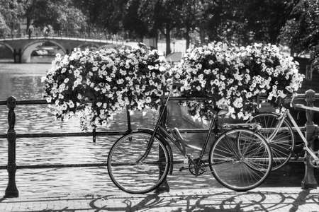 Beautiful view of a bicycle on a bridge with flowers in spring at the famous UNESCO world heritage canals of Amsterdam, the Netherlands, in black and white.の写真素材