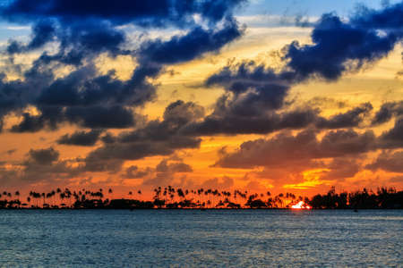 Silhouette of trcal palm trees and the sun setting during a beautiful sunset in the Caribbean in San Juan, Puerto Ricoの写真素材