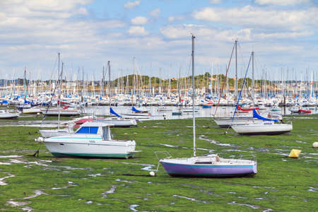 Boats and sailing ships on green dry land at low tide in the harbour of Larmor-Plage, Lorient, France, in summerのeditorial素材