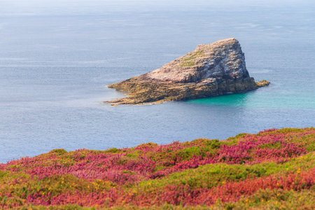 Beautiful triangular shaped rock island 'Amas du cap' at Cap FrÃ©hel in Brittany, France, with...