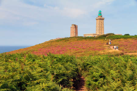 Beautiful landscape view of Cap FrÃ©hel in Brittany, France, with its lighthouses and moorland with ferns, vibrant heather flowers (Calluna vulgaris) and common gorse (Ulex europaeus)の写真素材