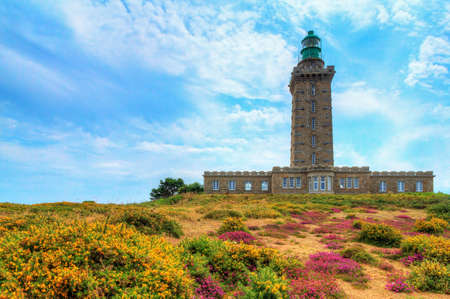 Beautiful summer view of the lighthouses at Cap FrÃ©hel in Brittany, France, with vibrant heather flowers (Calluna vulgaris) and common gorse (Ulex europaeus)の写真素材