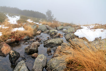 Beautiful small river stream with snow and fog in the mountains of the Rila Nature Park in Bulgaria...