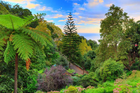 Beautiful view of the botanical garden Monte Fira on the hill Monte Funchal Madeiraの写真素材