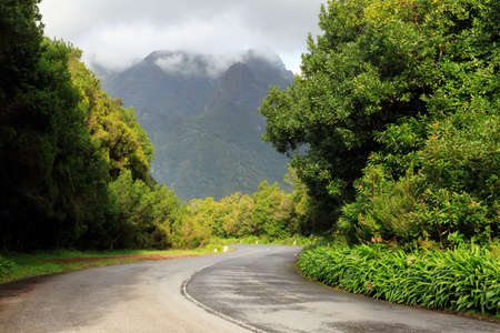 Beautiful green road in the mountains of Madeira towards the UNESCO Laurissilva forest (Laurel forest) on a cloudy summer dayの写真素材