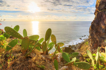 Beautiful backlit landscape view of the coastline cliffs at Tuneis antigos near Ponta do Sol on the east coast of Madeira island, at sunset with the atlantic ocean in summerの写真素材