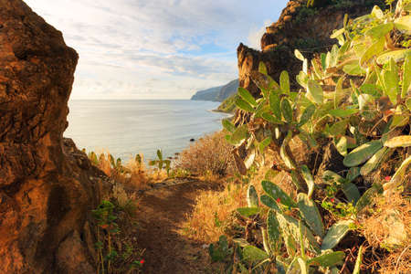 Beautiful backlit landscape view of the coastline cliffs at Tuneis antigos near Ponta do Sol on the east coast of Madeira island, at sunset with the atlantic ocean in summerの写真素材