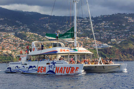 Tourists sailing around Madeira island on a catamaran looking for dolphins and whales, a popular tourist attraction, on October 11, 2015のeditorial素材