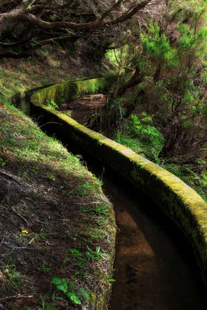 Beautiful landscape view of the hiking path in nature on the green islandの写真素材