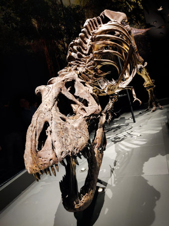 People visit the skeleton of Tyrannosaurus Rex Trix at the Naturalis Biodiversity Center in Leiden, The Netherlands, on October 5, 2019のeditorial素材