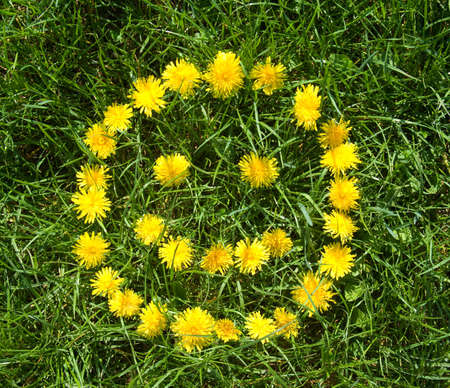 floral smile made of dandelions over green grassの写真素材
