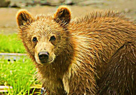 Bear Cub