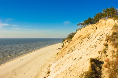 lake with pine trees and sand in Ukraineの写真素材