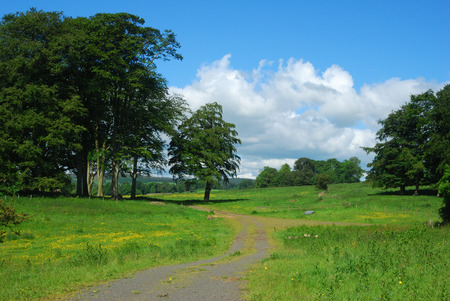 countryside near Alnwick castleの写真素材