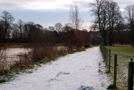 a winters morning along river Tweed near Melroseの写真素材